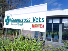 Diamond Creek vet shares pet care tips