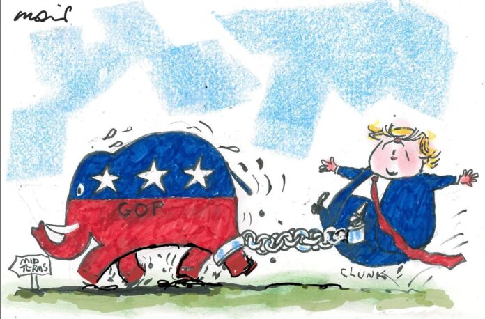 Alan Moir