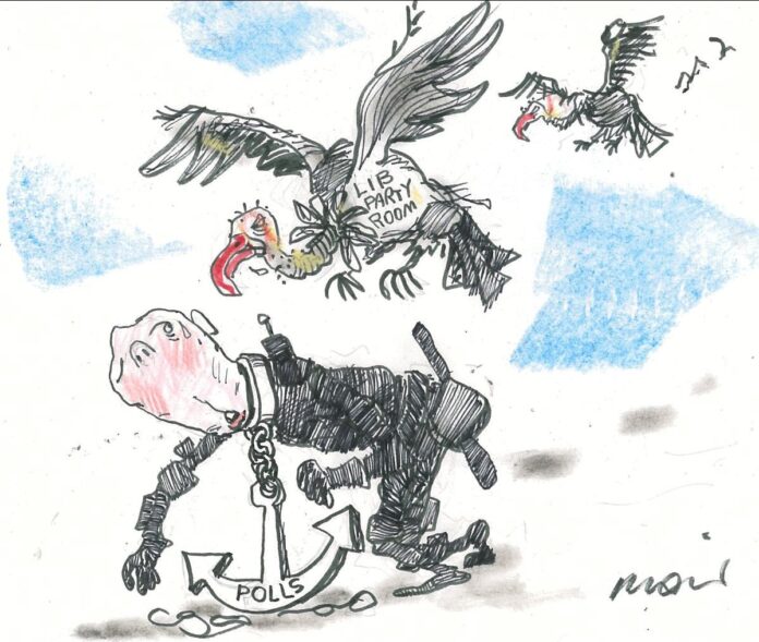 Alan Moir