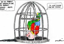 Moir’s View … Alan Moir 13/05/2020