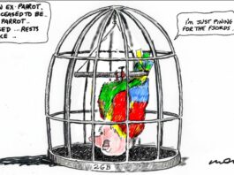 Alan Moir 13/05/2020