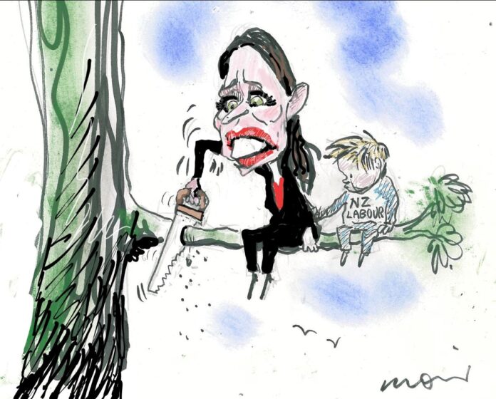 Alan Moir 11/05/23
