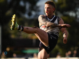 bundoora fnc stock NWM