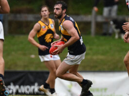 whittlesea eagles stock image footy