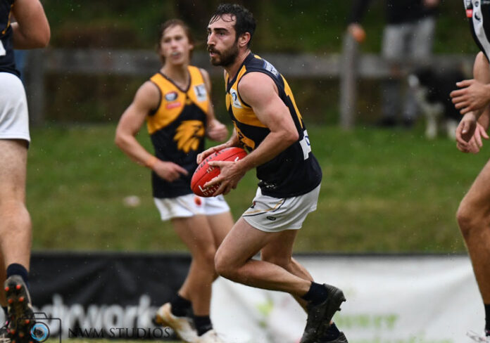 whittlesea eagles stock image footy