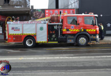 Gladstone Park blaze contained
