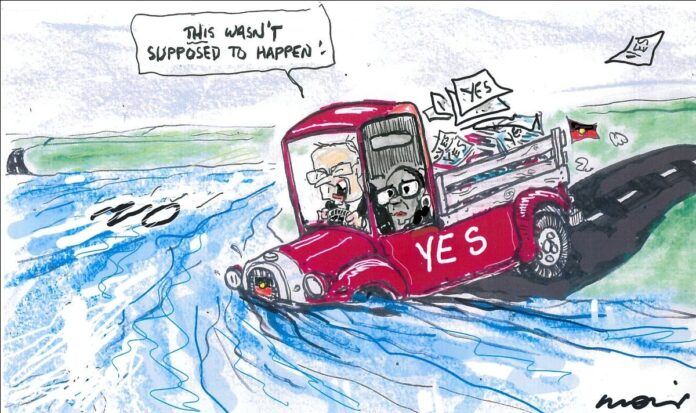 Alan Moir 11/08/2023