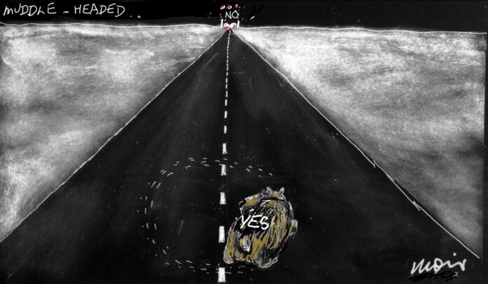 Alan Moir 12/10/2023