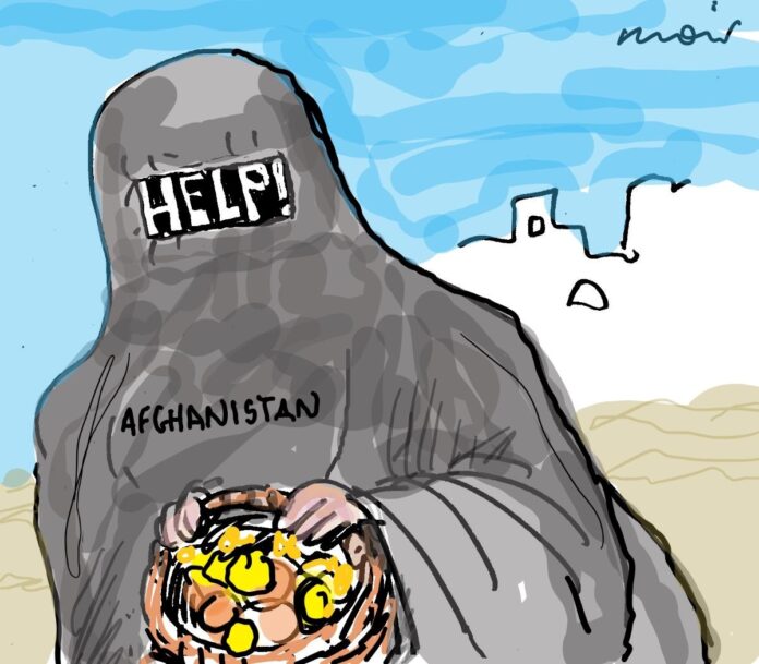 Alan Moir 11/01/2024