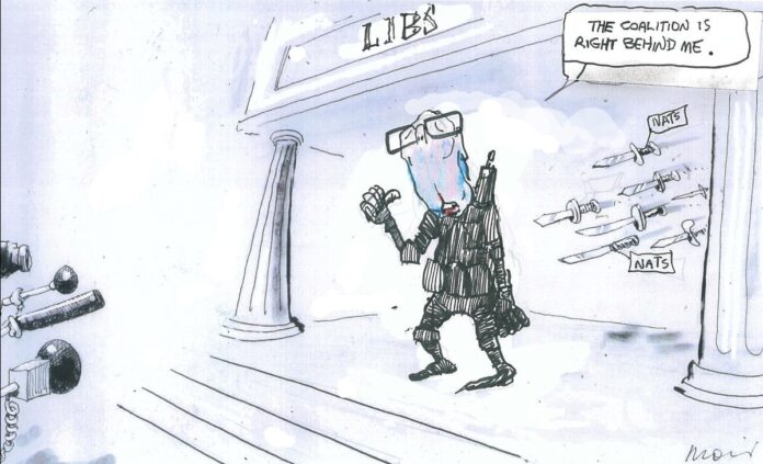 Alan Moir 11/07/2024