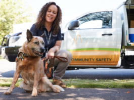 murrindindi shire pet rego image