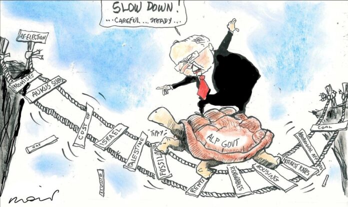 Alan Moir 14/08/2024
