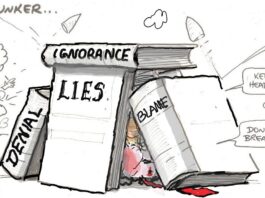 Alan Moir 19/11/2024