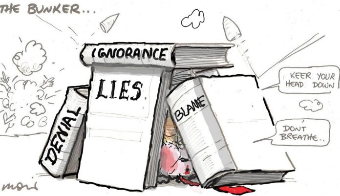 Alan Moir 19/11/2024