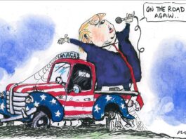 Alan Moir 21/11/2024