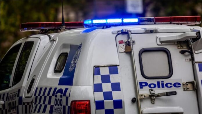 police divvy van