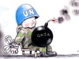 Alan Moir 19/05/2025