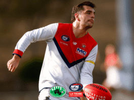NFNL footy (stock)