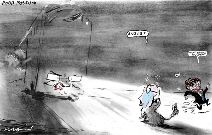 Alan Moir 11/06/2025