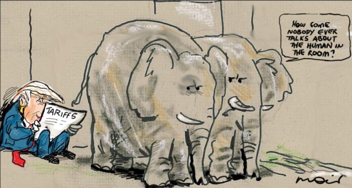 Alan Moir 02/07/2025