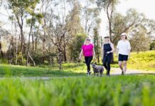 Yarra Ranges Council Health and Wellbeing Strategy released