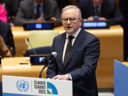 Albanese calls for global action amid US isolationism Albanese UN meeting