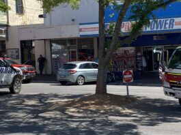 Car crashes into Alexandra shops