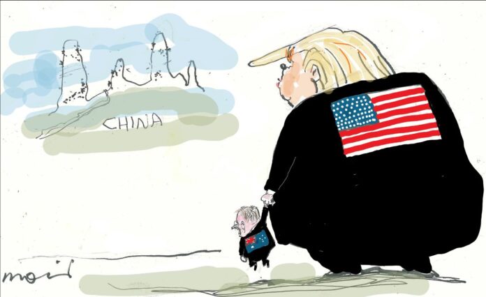 Alan Moir 31/10/2025
