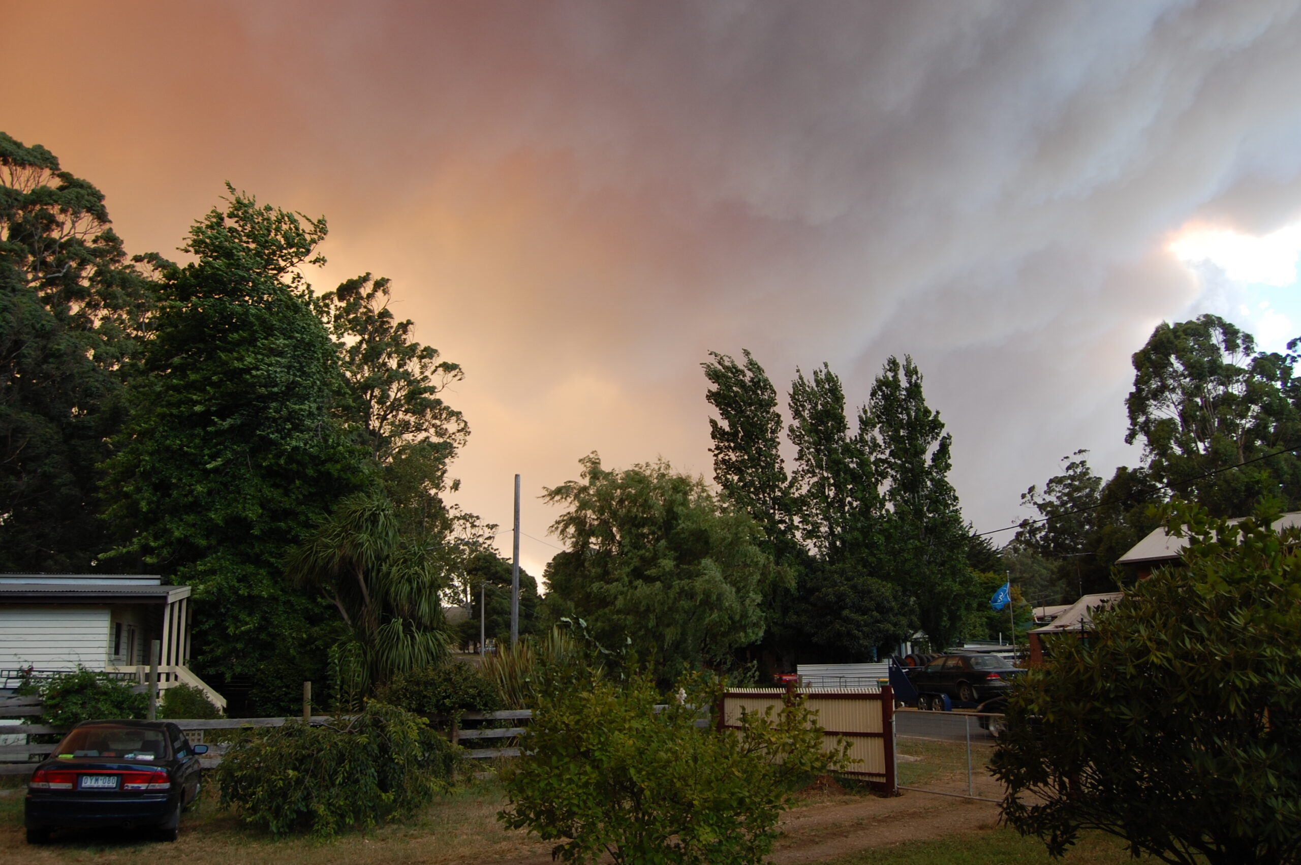 DSC_0008 black saturday kinglake fire bushfires