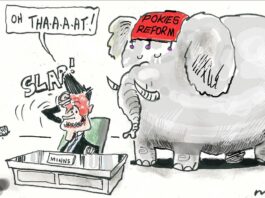 Alan Moir 14/11/2025