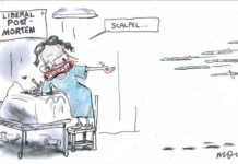 Moir’s View … Alan Moir 28/11/2025