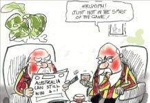 Moir’s View … Alan Moir 31/12/2025