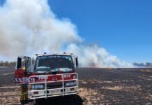 Home lost in Benalla grassfire