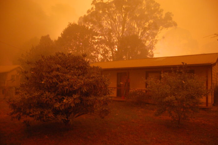 fire black saturday cfa