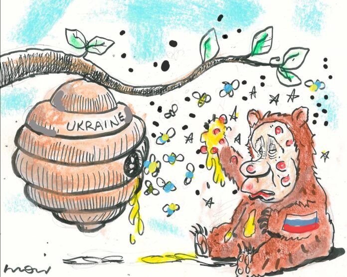 Alan Moir 14/01/2026