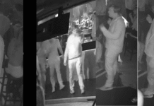 Search for witness to sexual assault