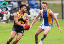 Can Whittlesea be ‘earmarked’ as a premiership contender in NFNL’s 2nd division today?