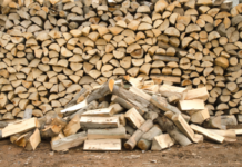 Murrindindi Shire extends free firewood collection firewood logs