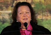 Gina Rinehart and Southern Cross Austereo: what do billionaire media buyouts mean for democracy? gina rhinehart