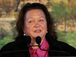 gina rhinehart