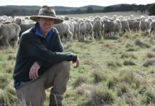 Community stalwart awarded Australian Fire Services Medal Rodney McErvale