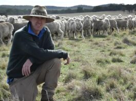 Community stalwart awarded Australian Fire Services Medal Rodney McErvale