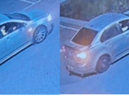 Appeal for witnesses following hit-run