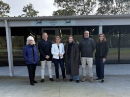 Eltham Lower Park upgrade ready