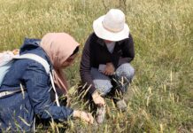 Become a nature steward this spring