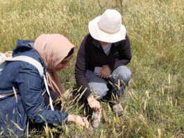 Become a nature steward this spring