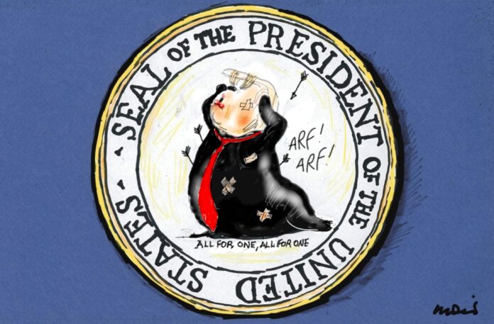 2020_12_11_Moir Moir 11/12/2020