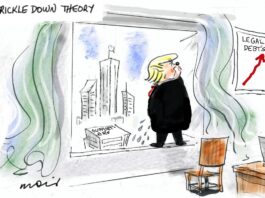 Alan Moir 20/11/24
