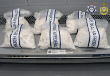 17 years jail for Werribee man