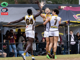 NFNL Division 2 – Round 14 Review